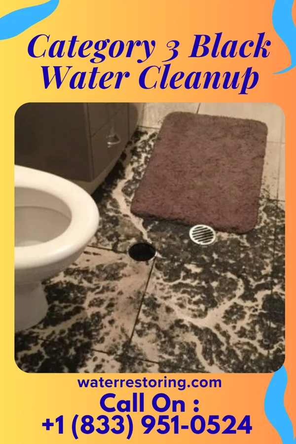 Category 3 Black Water Cleanup in Akaska, SD