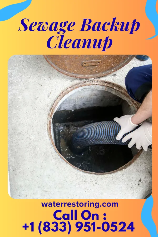 Sewage Backup Cleanup in Akaska, SD